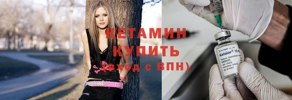 шишки Пересвет