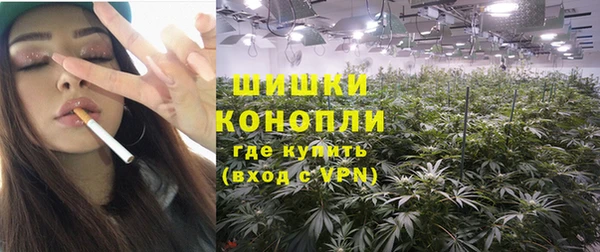 шишки Пересвет
