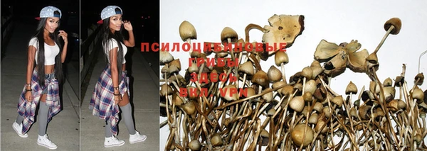 МДПВ Алексин